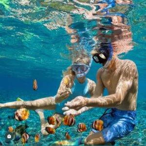 Snorkeling Sea Safari